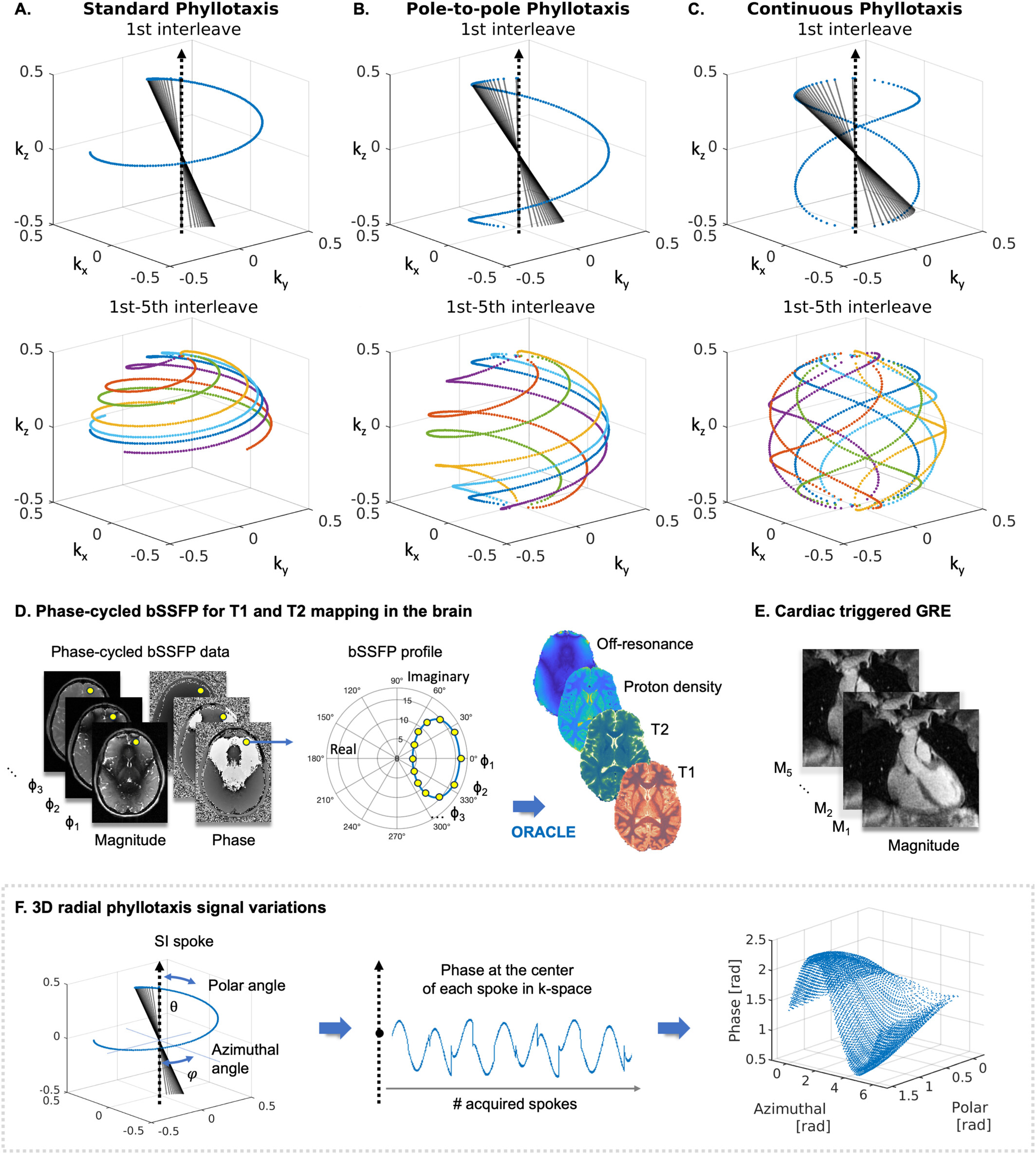 Editor’s Pick in Magnetic Resonance in Medicine